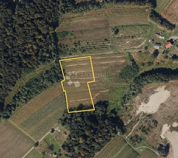 POLJOPRIVREDNO ZEMLJIŠE ŠUŠNJARI - 7507m² - Šušnjari, Križ