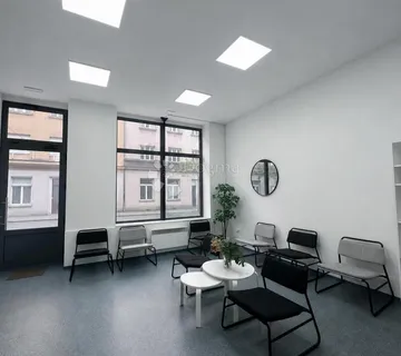 Ilica Poslovni Prostor 85m2 - Zagreb