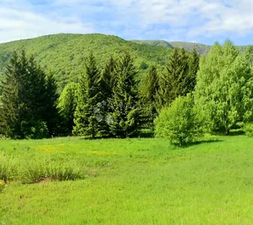 Šuma i livade u Brlogu kod Otočca - Otočac