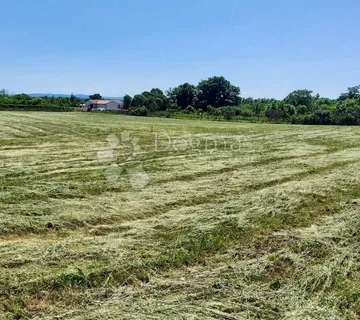 Zemljište S Građevinskom Dozvolom! - Barban