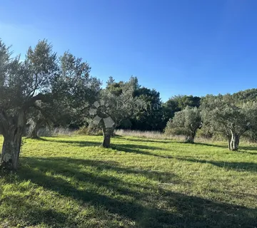 EKSKLUZIVNO - Prostrano zemljište na lijepoj lokaciji - cover
