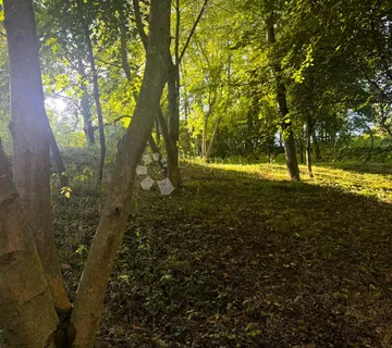 Spremno za gradnju: zemljište 6085 m² s dozvolom i projektom - Grabrovnik, Štrigova