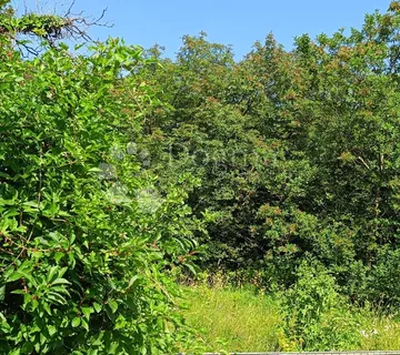 Kukuljanovo, građevinski teren 994 m2 - Kukuljanovo, Bakar