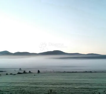 Rijetka prilika - Nebljusi, Donji Lapac
