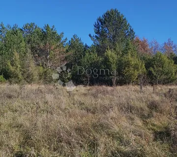 SPUŠTENA CIJENA!!! Poljoprivredno zemljište, pašnjak i šuma - Trviž, Pazin