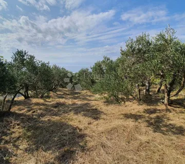 Poljoprivredno Zemljište Milna - Bobovišća, Milna