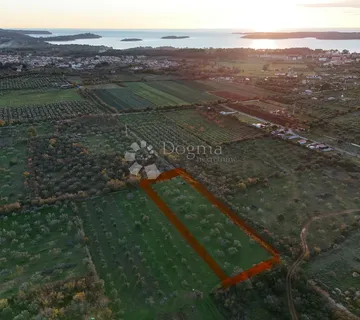 Poljoprivredno zemljište s maslinikom u Fažani, 800 m od mora - Fažana