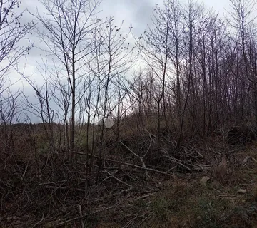 Odlično građevinsko zemljište u centru Klane - Klana