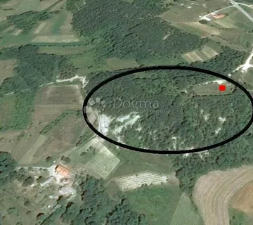 Građevinsko zemljište (2000m2) s bogatom šumom (36789 m2) - Lindar, Pazin