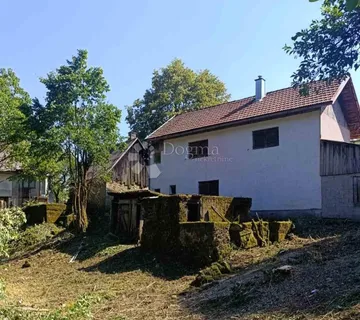 Dvije kuće na zemljištu 5000 m2 u Drežnici - Drežnica, Ogulin