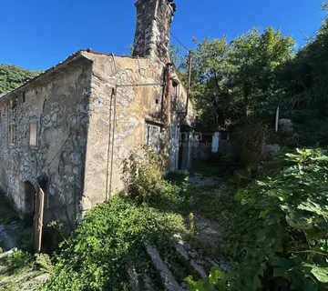 Starina u gradskoj zoni - Rijeka