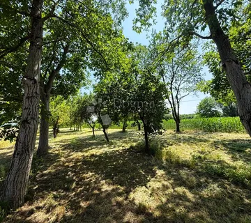 Poljoprivredno zemljište u Biškupcu - Varaždin