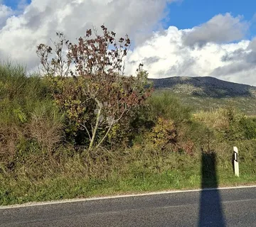 Poljoprivredno zemljište Močići uz magistralu - Močići, Konavle
