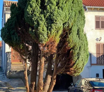 Apartmanska kuća na 10-tak km od Buzeta!