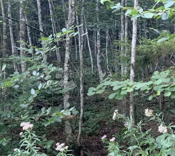 Zemljište Gerovski Kraj - cover