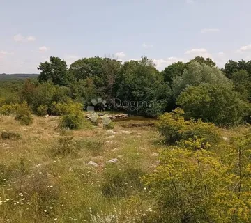 Poljoprivredno zemljište 3945m2 - Štokovci, Svetvinčenat