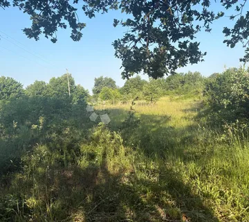 Poljoprivredno zemljište Jurcani 27000 m² -Investicijska prilika - Sveti Lovreč Pazenatički