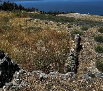 Poljoprivredna zemljišta - Podgora