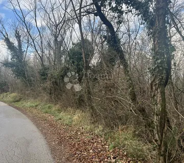 ŠUMA 12.293 m2 - Kršan