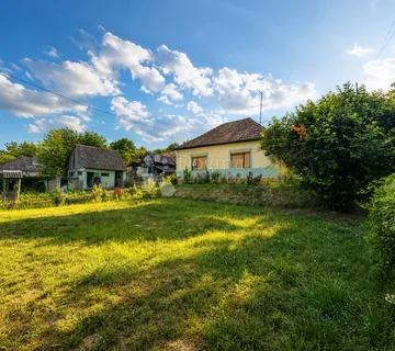 Batina – imanje s vinogradom, oranicom i gatorima - Batina, Draž