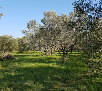 Građevisnko zemljište u Sukošanu