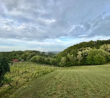 Građevinsko zemljište s vinogradom i panoramskim pogledom – 6.659 m² - Vinica Breg, Vinica