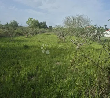 Smoković - Građevinsko Zemljište - 2885 M2- Prodaja - Smoković, Zemunik Donji