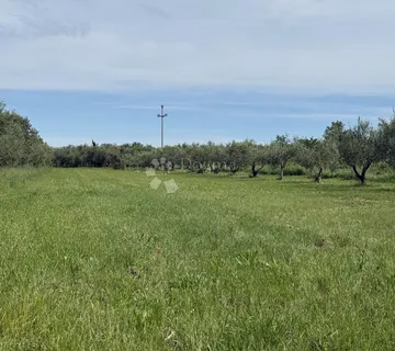 Građevinsko zemljište Umag