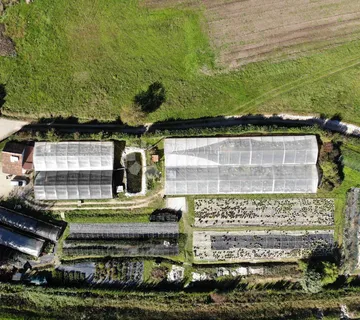 Atraktivno zemljište s funkcionalnim poljoprivrednim poslom - Lindar, Pazin