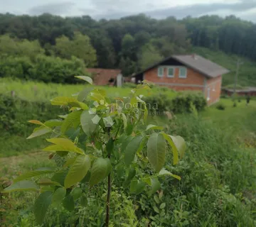 Kuća s ogromnom okućnicom u komadu blizu D1 - Tušilović, Karlovac