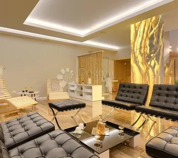VILA SA VLASTITIM WELLNESS CENTROM U ROVINJU - cover