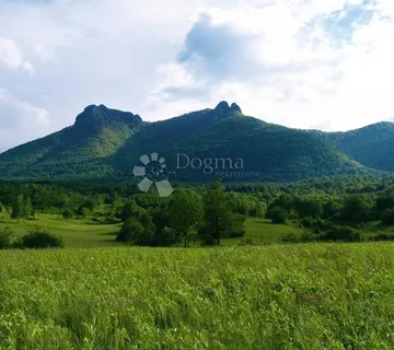 Šuma podno Kleka - Ogulin