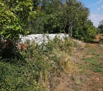 Peroj — poljoprivredna parcela 808 m², izvrsna investicijska prilika - Peroj, Vodnjan