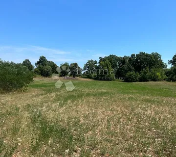 Građevinsko zemljište 4855 m² – idealno za hale, skladišta ili solarne projekte - Krnica, Marčana