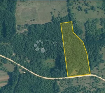 Zemljište 12.159 m², nedaleko naselja Barat - Barat, Kanfanar