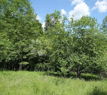 Poljoprivredno zemljište u Liču – 2.935 m², mirna lokacija - Lič, Fužine