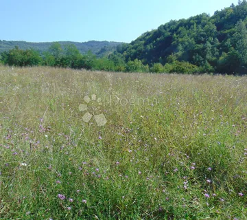 Poljoprivredno zemljište u okolici Butonige - Butoniga, Pazin