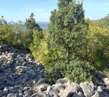 Krk, Punat, poljoprivredno zemljište