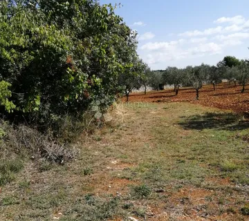 Idealna investicija u blizini mora — Peroj, poljoprivredno zemljište 788 m² - Peroj, Vodnjan