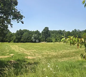 Zemljišta Barban - blizina struje i vode!