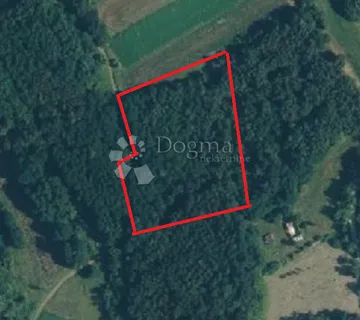 Poljoprivredno zemljiste - PRILIKA! 3196m2 10.000e - Žminj