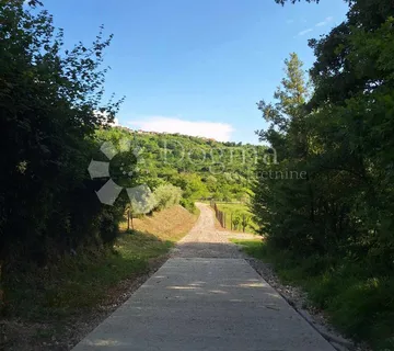 Prekrasno poljoprivredno zemljište u srcu Istre - Buje