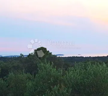 Maslinik sa pogledom na more!! - Fažana