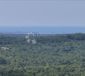 Kompleks Građevinskog Građevinsko Poljoprivrednog Zemljišta S Građevinskom Dozvolom, - Svetvinčenat
