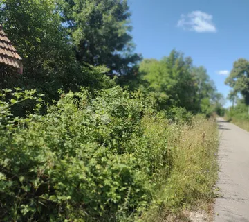 2 građevinske parcele, 2 kuće za adaptaciju - Čremušnica, Gvozd