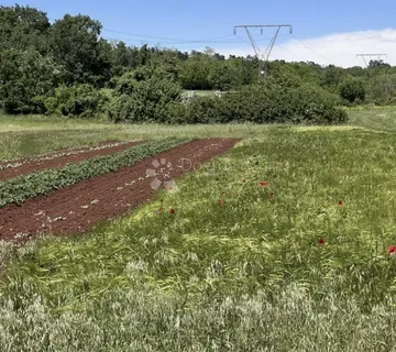 Poljoprivredno zemljište uz URBANIZACIJU! - Manjadvorci, Barban