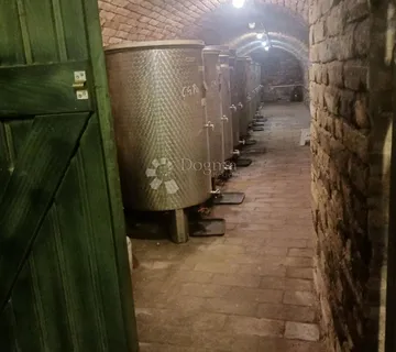 Najam vinskog podruma s opremom! - Zmajevac, Kneževi Vinogradi