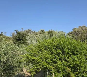 Rab, Kampor 4549 m2, šuma, prodaja - Kampor, Rab