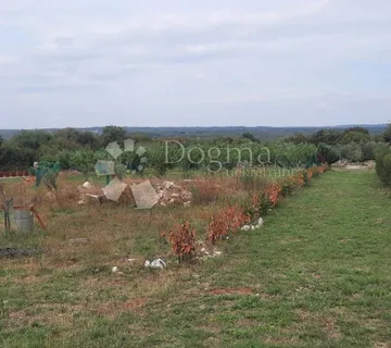 BRATULIĆI – Građevinsko 2.258 m2 s bogatim voćnjakom - Bratulići, Marčana