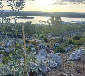 Vaš kutak mediterana – maslinik s pogledom na more - Punat